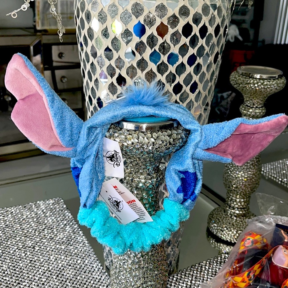 DisneyPark headband